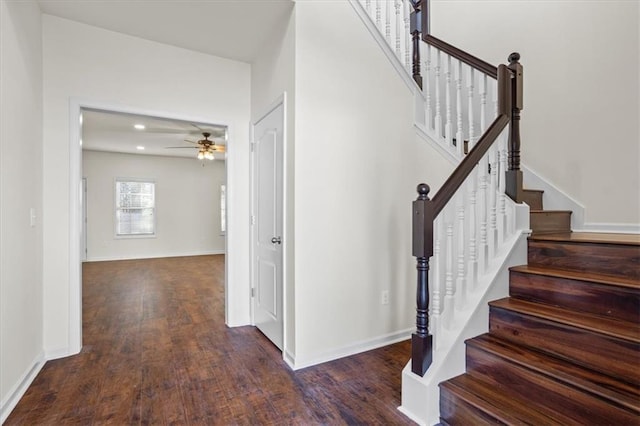 staircase with hardwood / wood-style flooring and ceiling fan