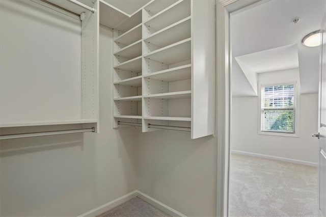 walk in closet with light carpet