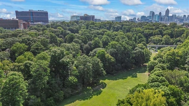 bird's eye view