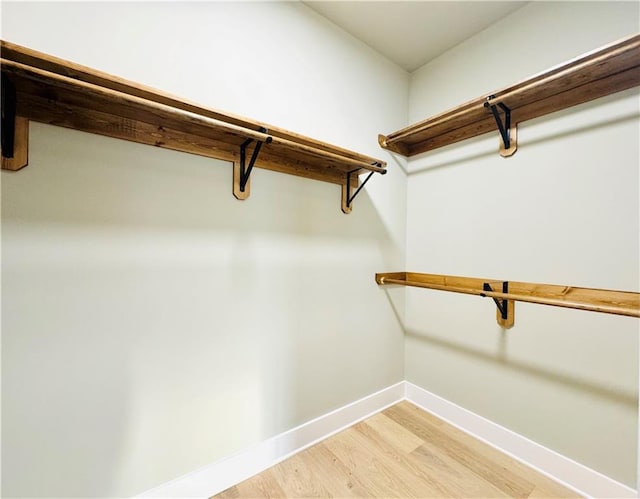 spacious closet with wood-type flooring