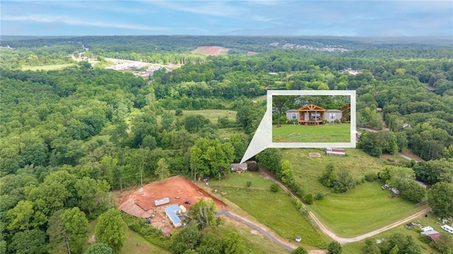 2860 Jack Bryant Cir, Gainesville, GA 30507 - bird's eye view of a forest
