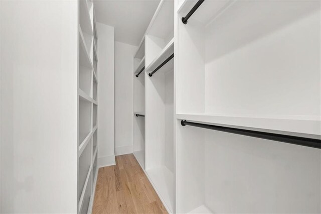 spacious closet featuring light hardwood / wood-style flooring