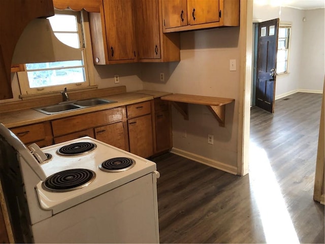 kitchen with dark hardwood / wood-style flooring, sink, and electric range