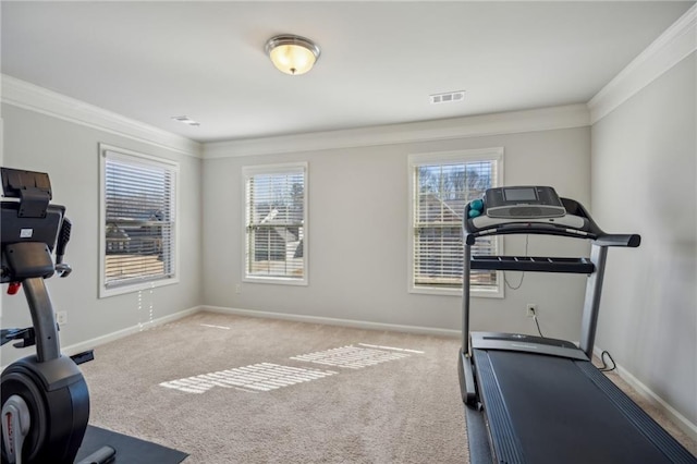 3610 Ansley Manor Ct, Cumming, GA 30028 - exercise room with crown molding, plenty of natural light, carpet, and baseboards