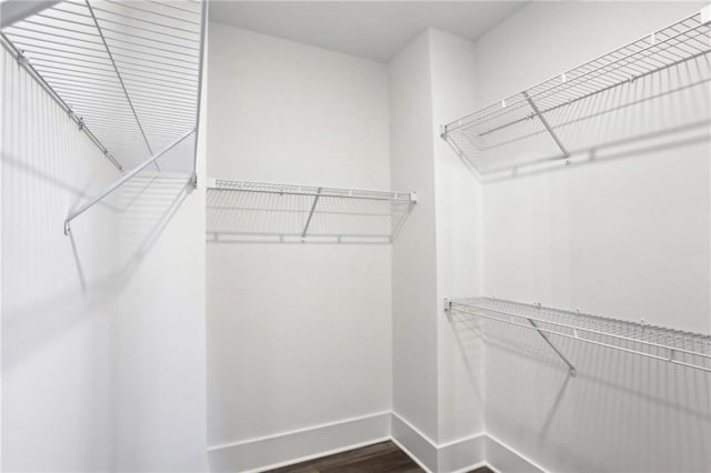 spacious closet with dark wood-type flooring