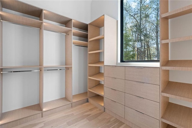 walk in closet with light wood-type flooring