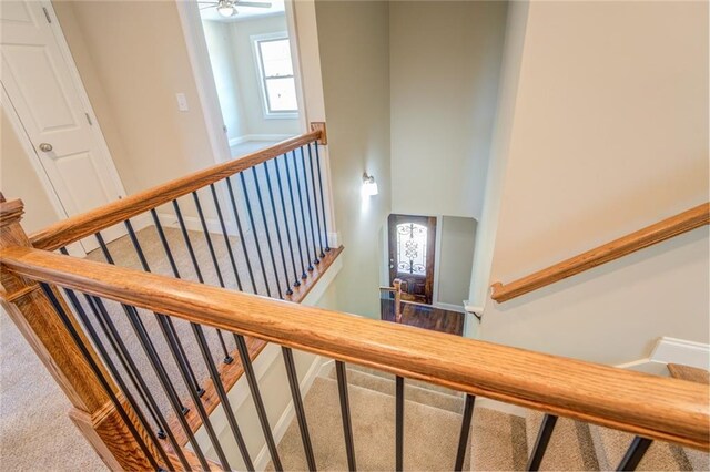 stairway featuring carpet floors and ceiling fan