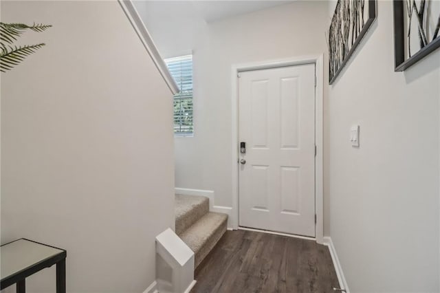 entryway with dark hardwood / wood-style floors