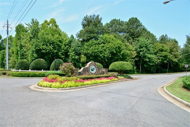 204 Maple Creek Chase, Woodstock, GA 30188 - view of road featuring street lights and curbs
