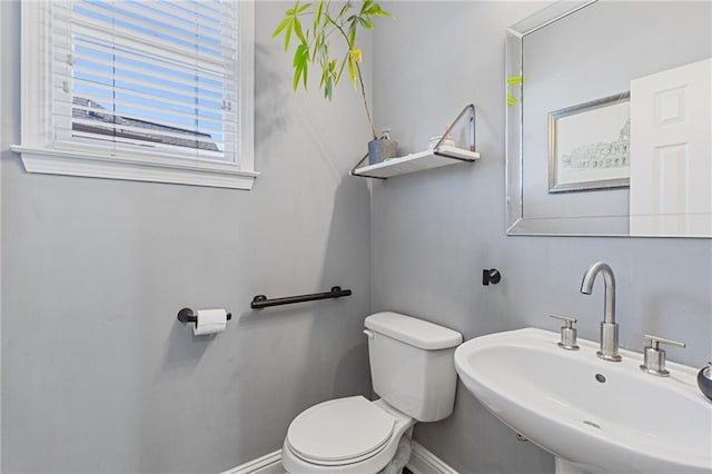 bathroom featuring sink and toilet