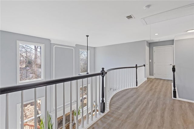 hallway with a wealth of natural light and light hardwood / wood-style flooring