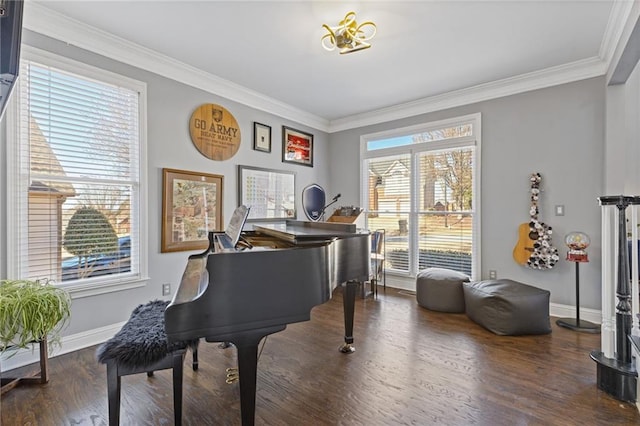 sitting room with ornamental molding and dark hardwood / wood-style flooring