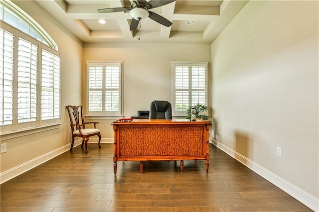 office space featuring dark hardwood / wood-style floors, plenty of natural light, coffered ceiling, and ceiling fan