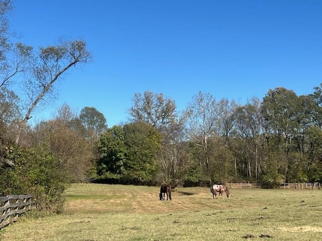 view of landscape featuring a rural view