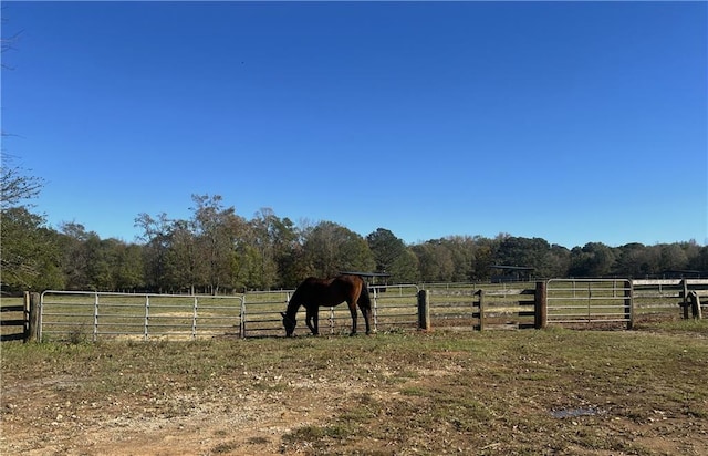 view of yard with a rural view