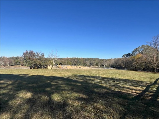 view of yard with a rural view