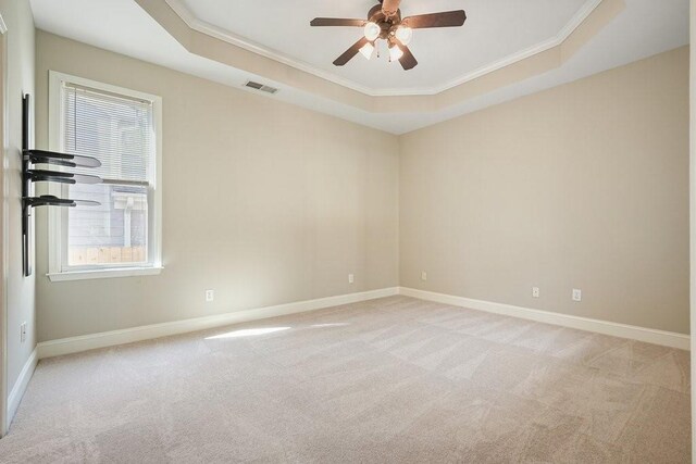 unfurnished room with light carpet, a raised ceiling, and a healthy amount of sunlight