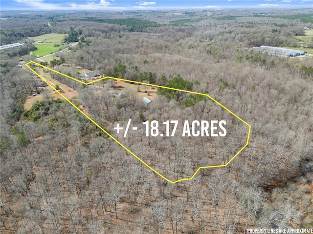 bird's eye view featuring a forest view and a rural view