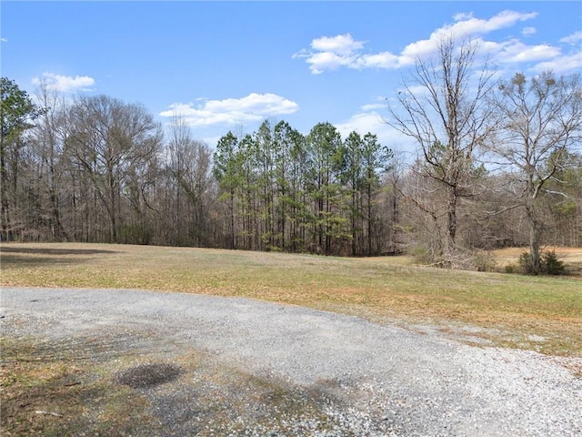 view of street with a wooded view