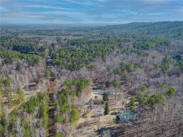 bird's eye view with a wooded view