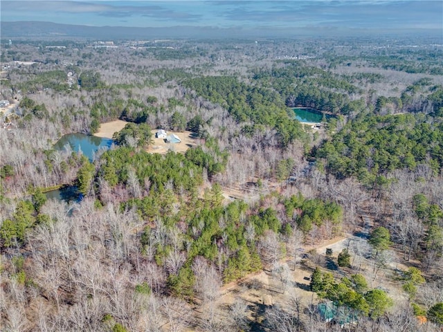 aerial view with a water view and a view of trees