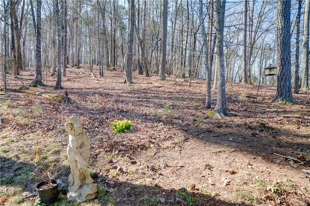 view of landscape