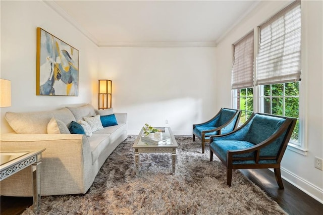 living area featuring ornamental molding, baseboards, and wood finished floors