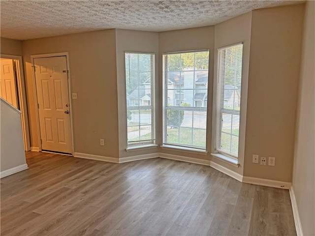 foyer with light hardwood / wood-style floors, a textured ceiling, and a wealth of natural light