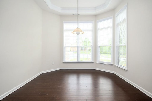 unfurnished dining area with baseboards, plenty of natural light, a raised ceiling, and dark wood-type flooring