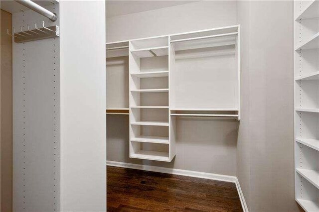 spacious closet featuring dark wood-type flooring