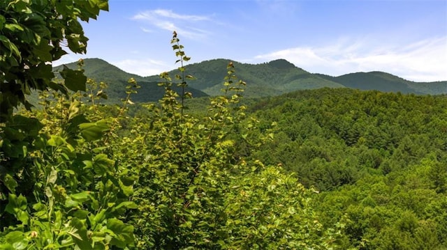 property view of mountains with a forest view