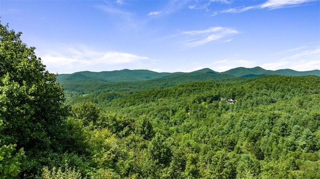 property view of mountains with a wooded view