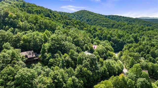 bird's eye view featuring a wooded view and a mountain view