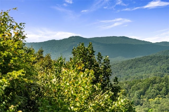 property view of mountains with a view of trees