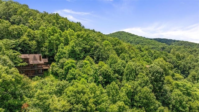 mountain view with a forest view
