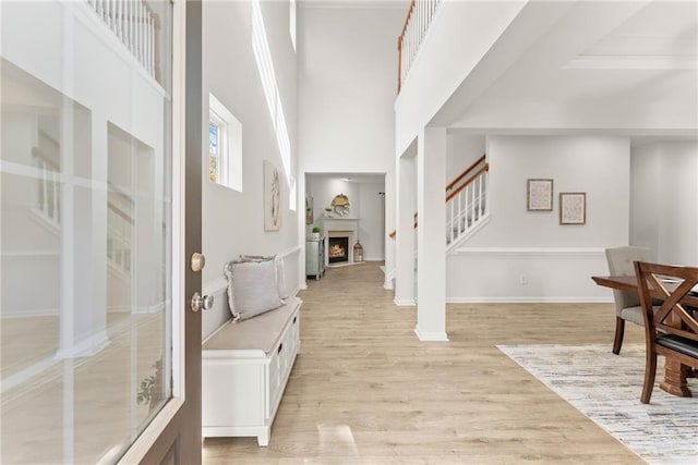 entryway featuring a high ceiling and light wood-type flooring