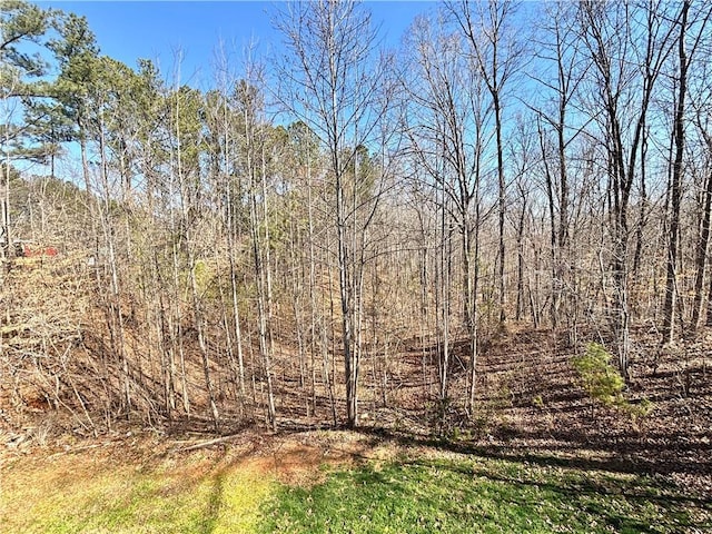 view of nature with a forest view