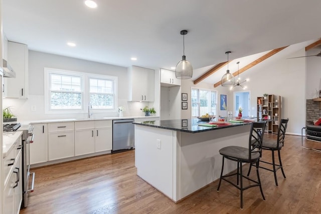 kitchen with a wealth of natural light, stainless steel appliances, light hardwood / wood-style floors, and white cabinets