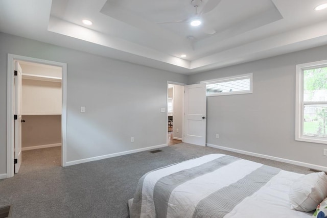 carpeted bedroom with ceiling fan, a walk in closet, and a tray ceiling