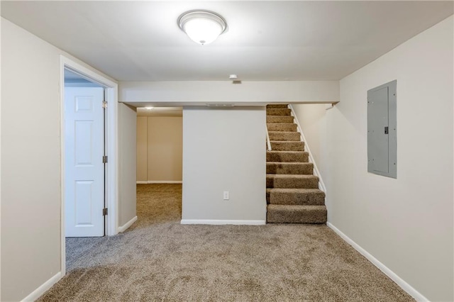 basement with electric panel and carpet flooring