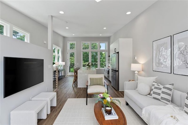 living room with hardwood / wood-style floors