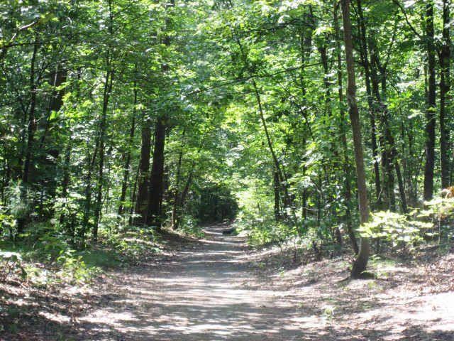 3542 Chattahoochee Summit Ln SE, Atlanta, GA 30339 - view of road with a view of trees