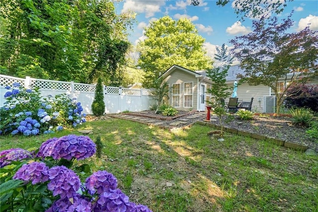 209 Jacobs Way, Jasper, GA 30143 - view of fenced backyard