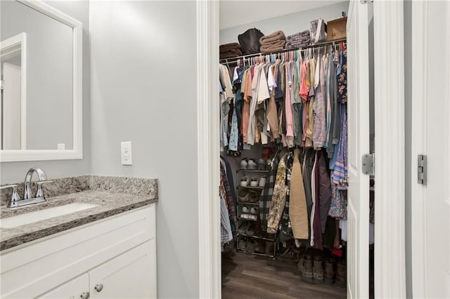 spacious closet featuring dark wood finished floors and a sink