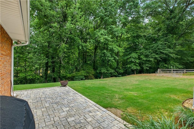 3110 Springdale Park Cir, Gainesville, GA 30506 - view of green lawn with a patio area