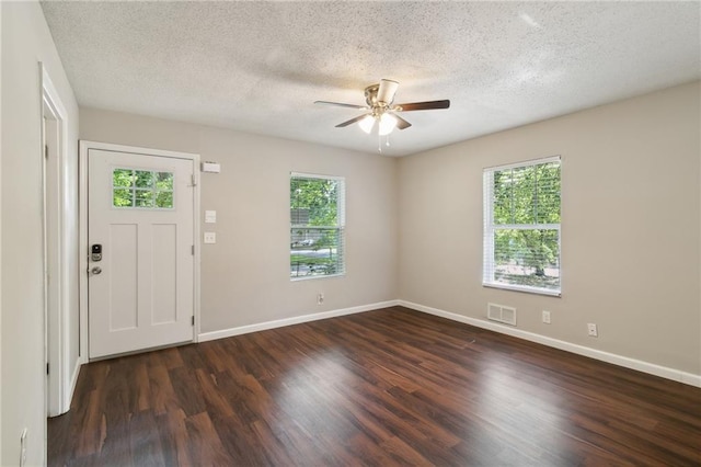 foyer entrance featuring dark wood-type flooring, a wealth of natural light, and a textured ceiling