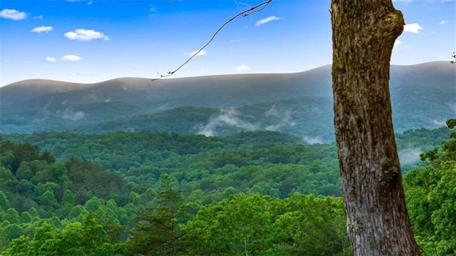 view of mountain feature