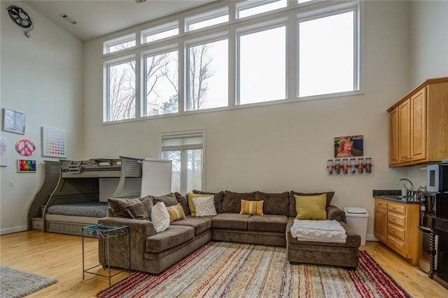 living room featuring light hardwood / wood-style floors and a towering ceiling