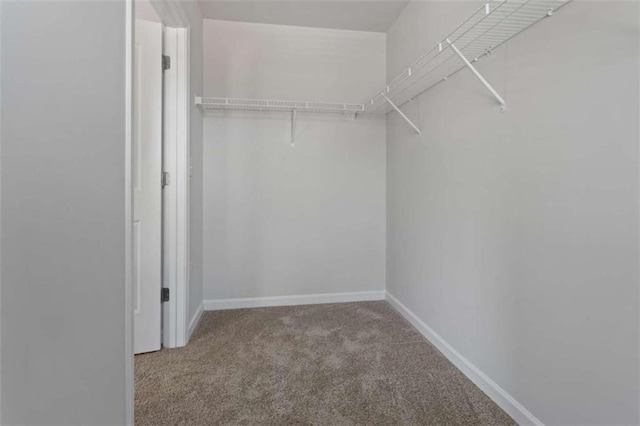 227 Ivey Ter Unit 36, Temple, GA 30179 - spacious closet featuring carpet