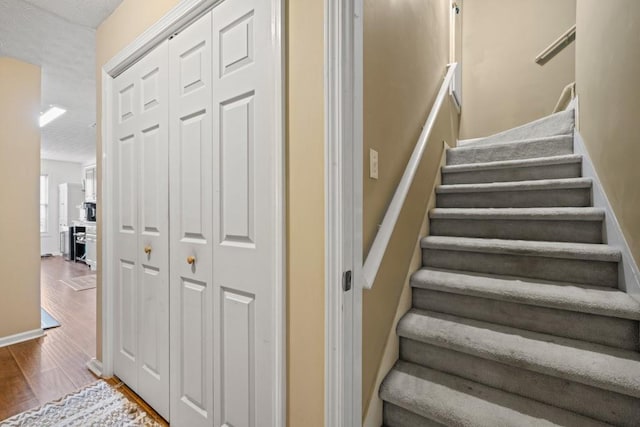 staircase with hardwood / wood-style floors